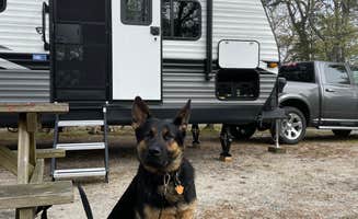 Laurie's photo of camping with pets at Bay View Campground near Kingston, MA