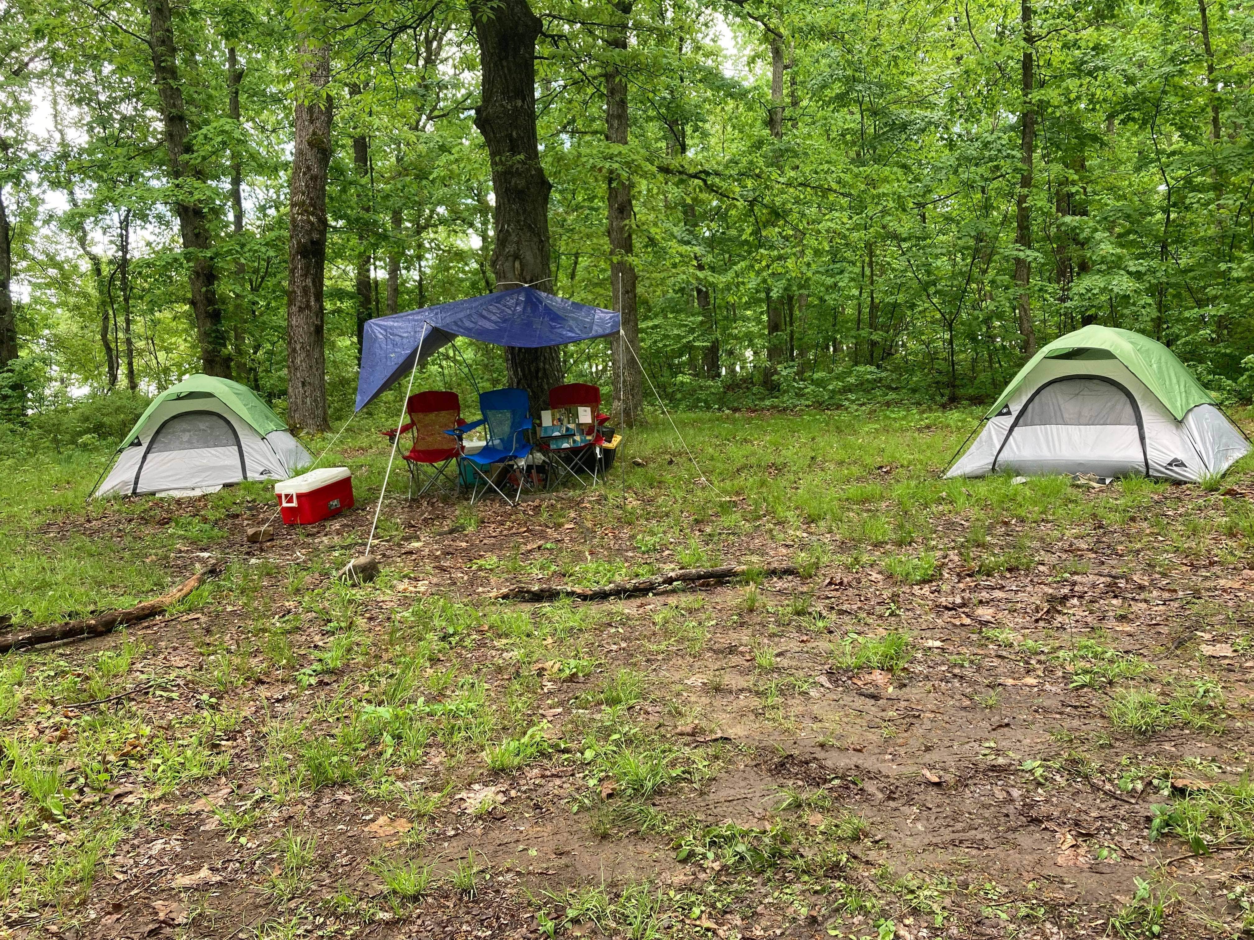 Camper submitted image from Bi-Color Campground (Catoosa WMA) - 4