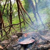 Review photo of Bi-Color Campground (Catoosa WMA) by John B., May 15, 2022