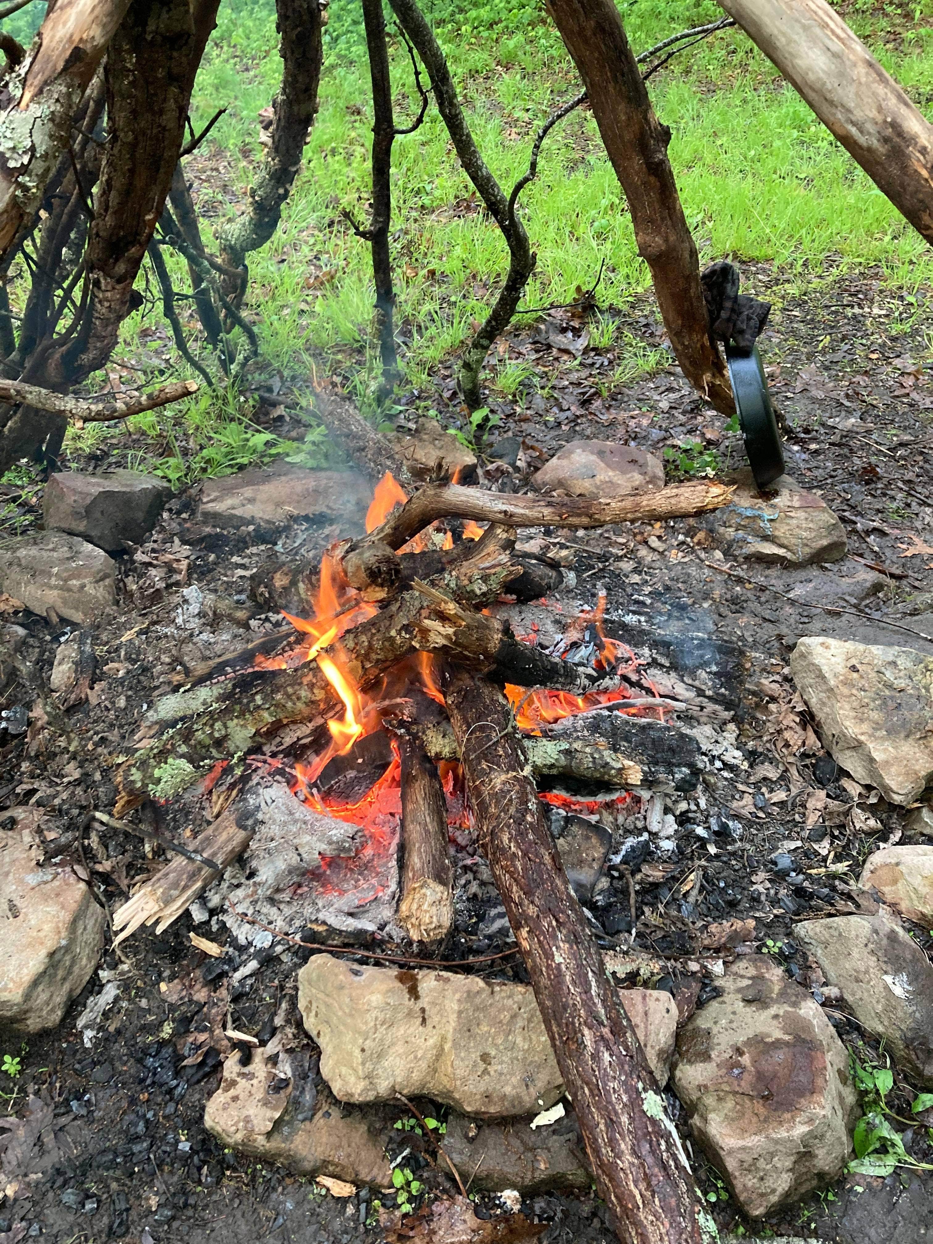 Camper-submitted photo at Bi-Color Campground (Catoosa WMA) near Harriman, TN