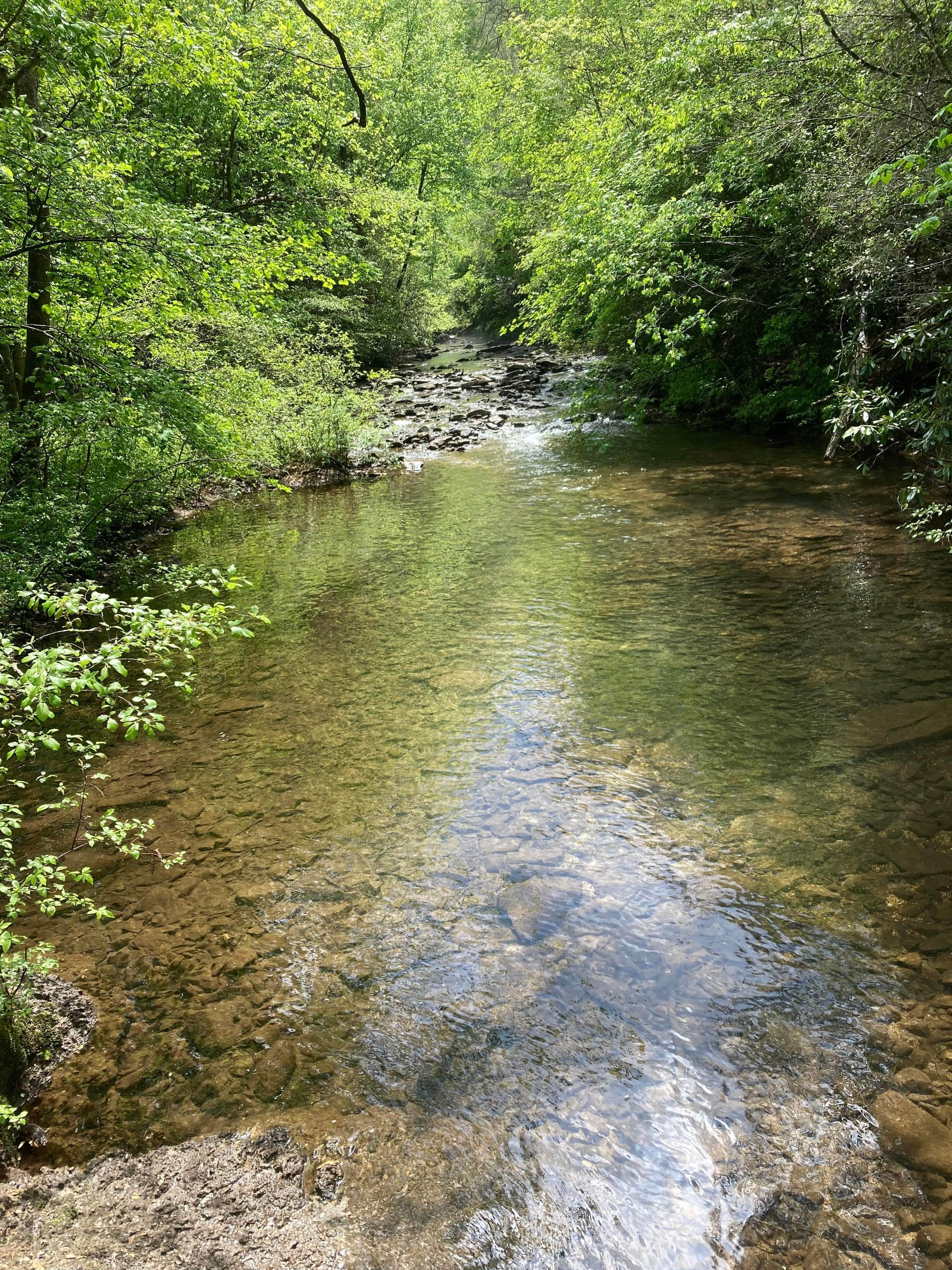 Camper submitted image from Bi-Color Campground (Catoosa WMA) - 2