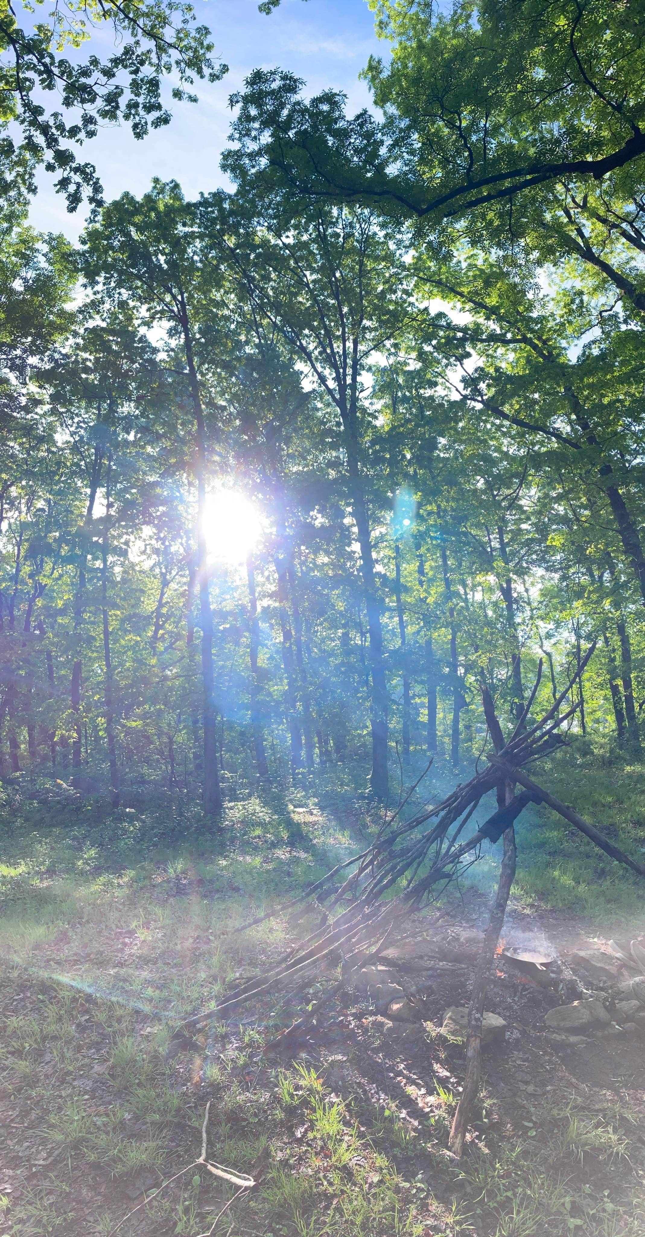 Camper-submitted photo at Bi-Color Campground (Catoosa WMA) near Harriman, TN