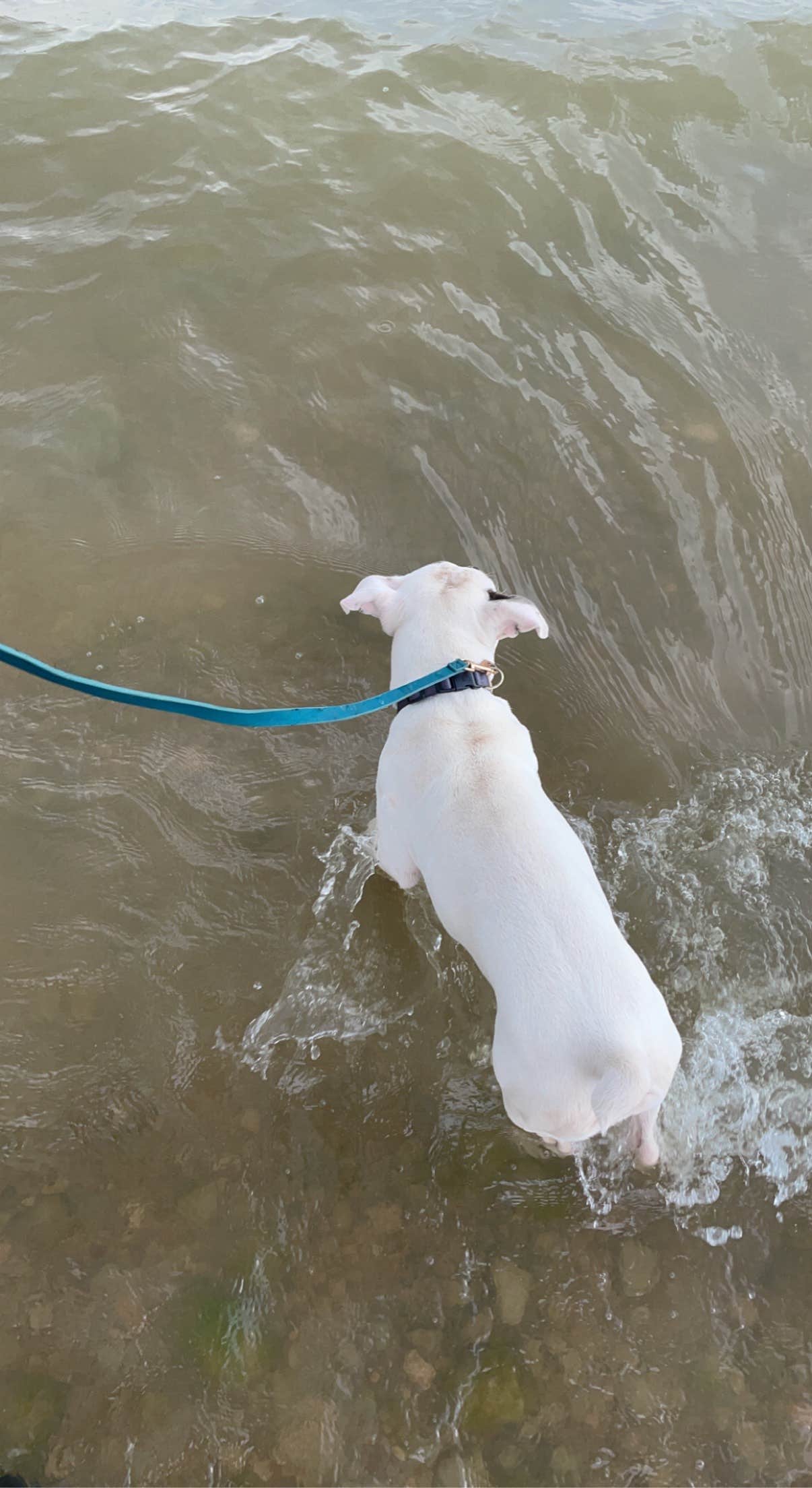 Camper-submitted photo at Fort Phantom Lakeside RV Park near Abilene, TX