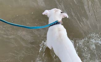 Sarha B.'s photo of camping with pets at Fort Phantom Lakeside RV Park near Stamford, TX