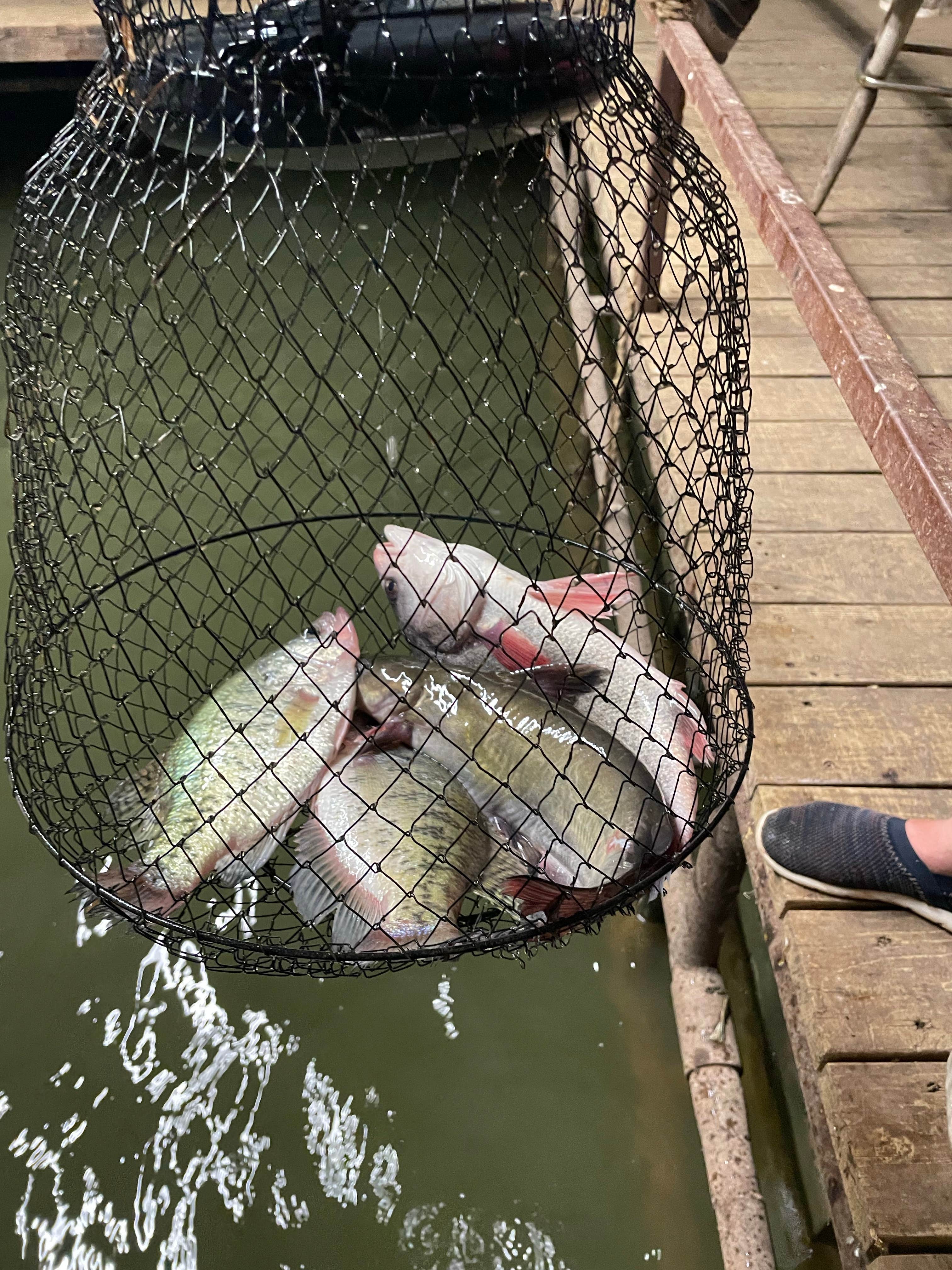 Camping near Fort Griffin State Historic Site Campgrounds: Fort Phantom Lakeside RV Park, Abilene, Texas