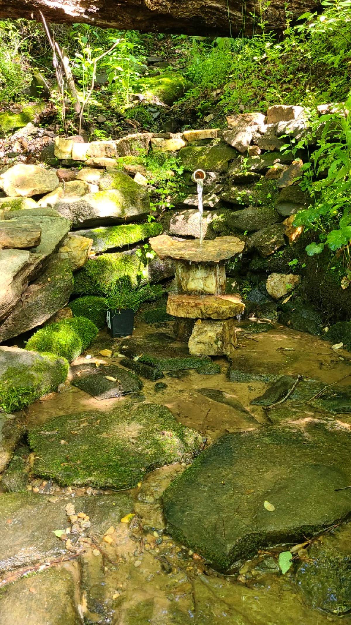 Camping near Howell in the Holler: Paradise Ridge Permaculture, Swannanoa, North Carolina