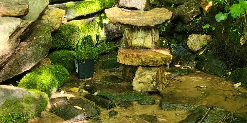 Camper submitted image from Paradise Ridge Permaculture