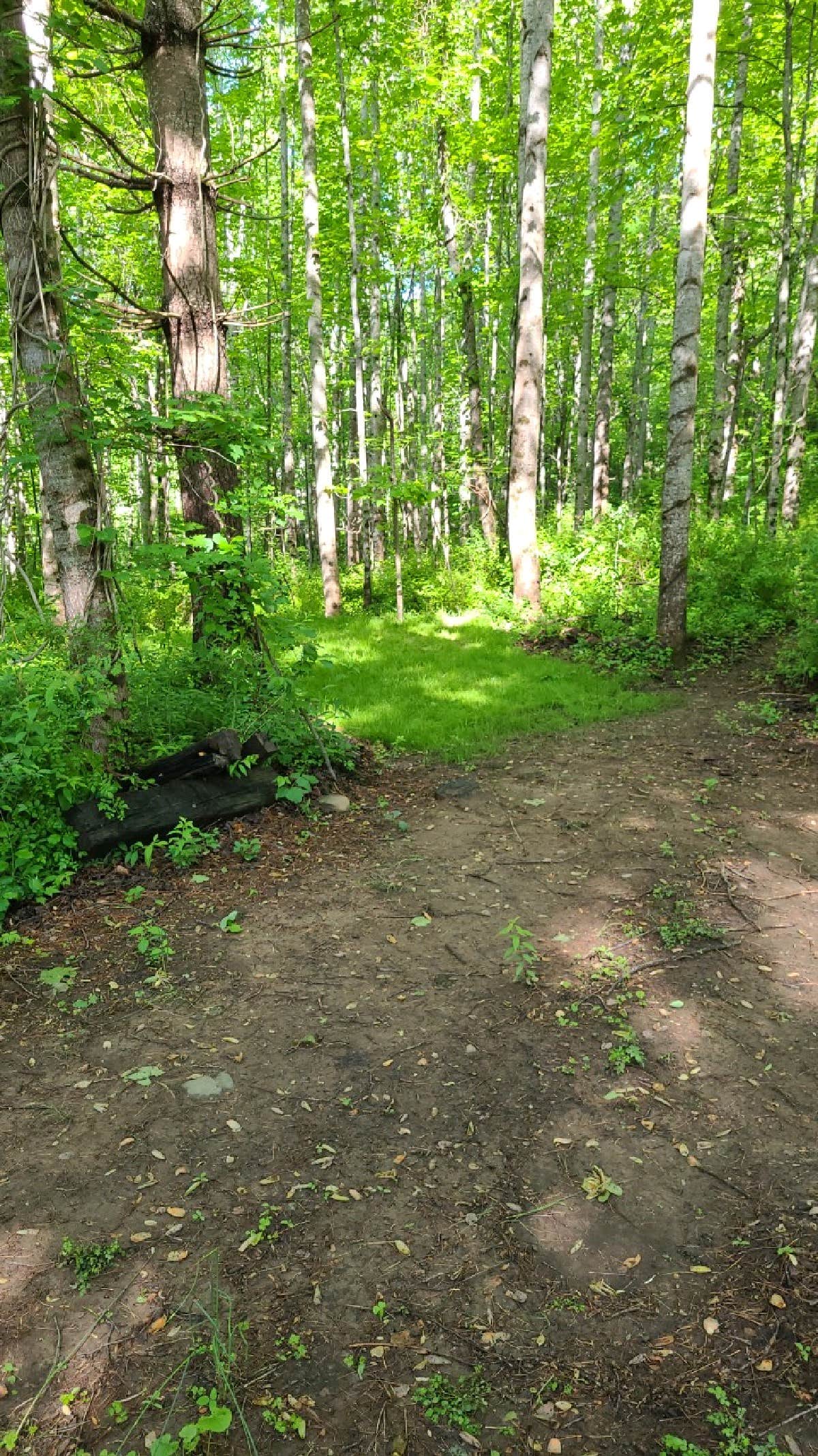 Camper-submitted photo at Paradise Ridge Permaculture near Gerton, NC