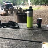 Review photo of Pfeiffer Big Sur State Park Campground by justin , May 15, 2022