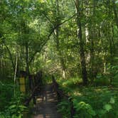 Review photo of Valentine Lake Wild Azalea Trail by Sean S., May 15, 2022