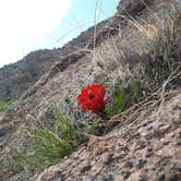 Review photo of Cripple Creek BLM Area by John B., May 15, 2022