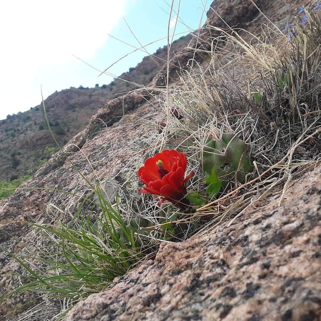 Camper submitted image from Cripple Creek BLM Area - 2