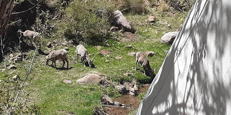 Camper submitted image from Cripple Creek BLM Area