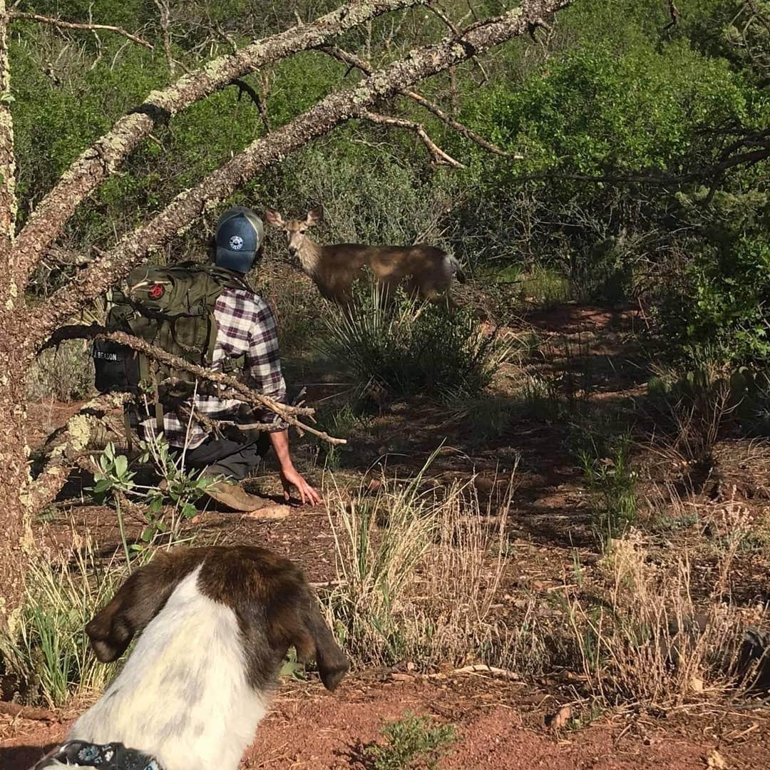 Camper submitted image from Cripple Creek BLM Area - 4