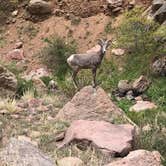 Review photo of Cripple Creek BLM Area by John B., May 15, 2022