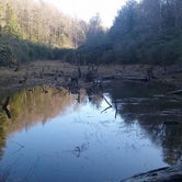 Review photo of SongBird Trail Camp (Cohutta WMA) by John B., May 15, 2022