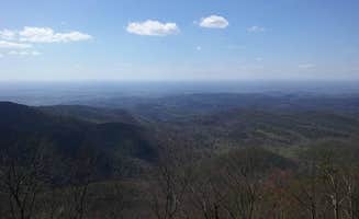 John B.'s photo of a dispersed camping area at SongBird Trail Camp (Cohutta WMA) near Kingston, GA