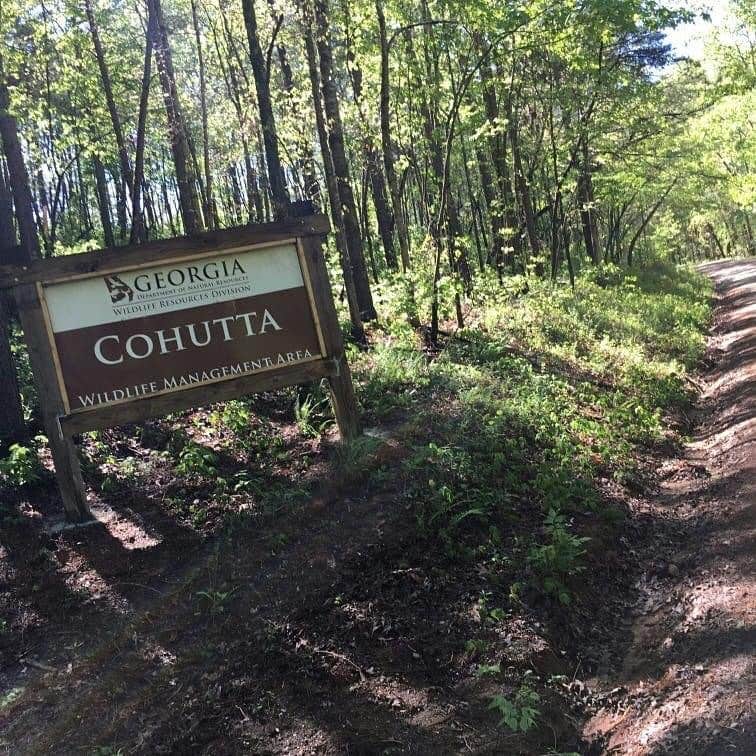 Camper submitted image from Hickey Gap (Cohutta WMA) - 2