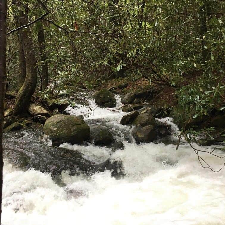 Hickey Gap (Cohutta WMA) Camping Cohutta Springs, GA The Dyrt