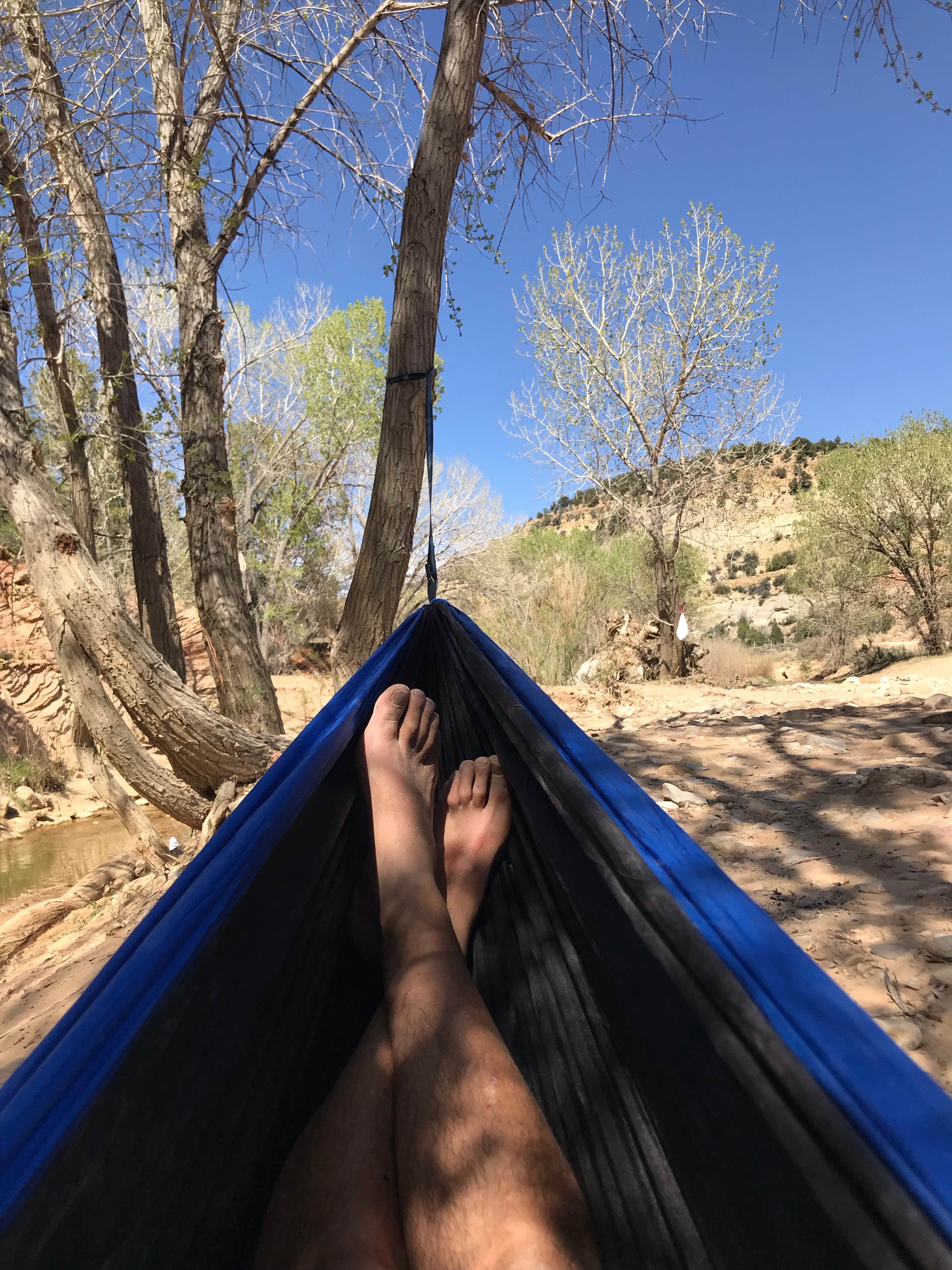 Camper submitted image from Twin Hollows Canyon - 4