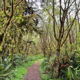 Review photo of Elk Prairie Campground — Prairie Creek Redwoods State Park by Kristine B., May 15, 2022