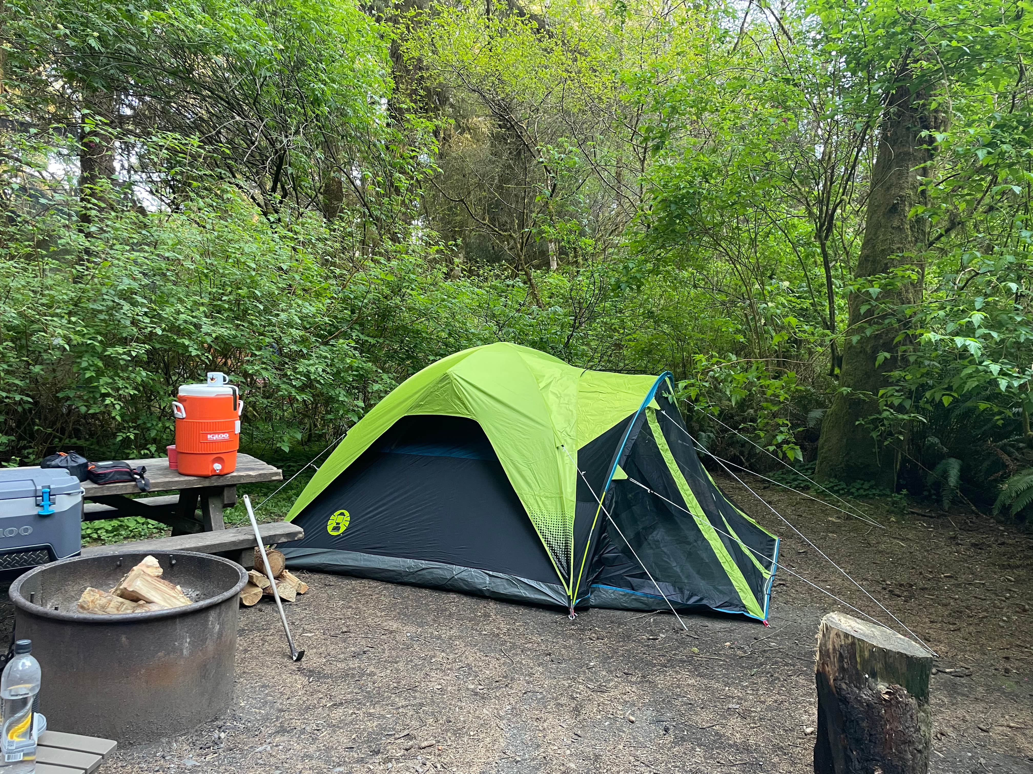 Kristine B.'s photo at Elk Prairie Campground — Prairie Creek Redwoods State Park near Klamath, CA