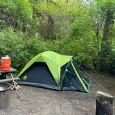 Review photo of Elk Prairie Campground — Prairie Creek Redwoods State Park by Kristine B., May 15, 2022