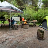 Review photo of Elk Prairie Campground — Prairie Creek Redwoods State Park by Kristine B., May 15, 2022