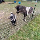 Review photo of Country Critters Campground and RV Park by Aubrey S., May 16, 2022