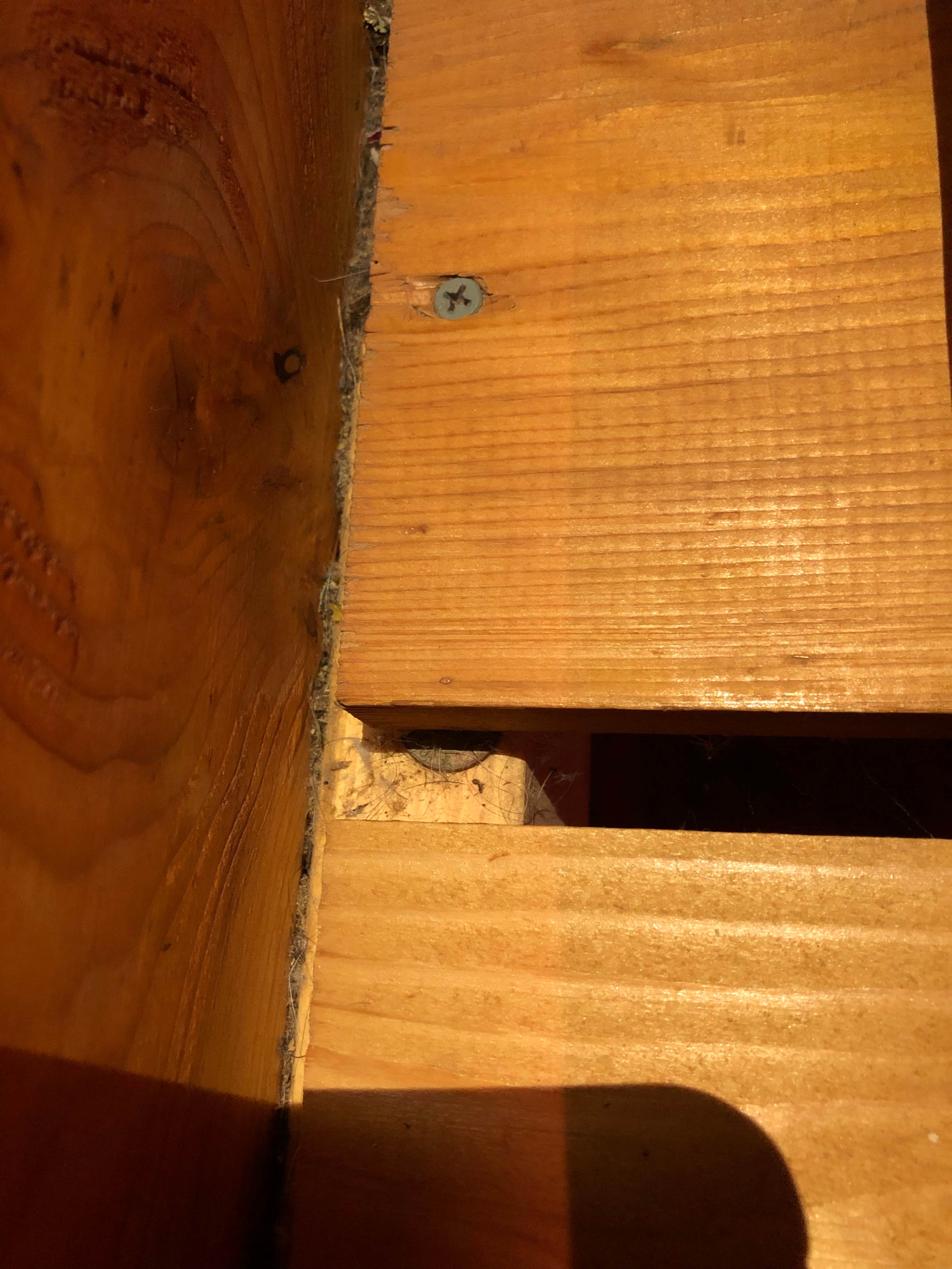 Camper-submitted photo at Madison-Pittsburgh S.E. KOA near Washington, PA