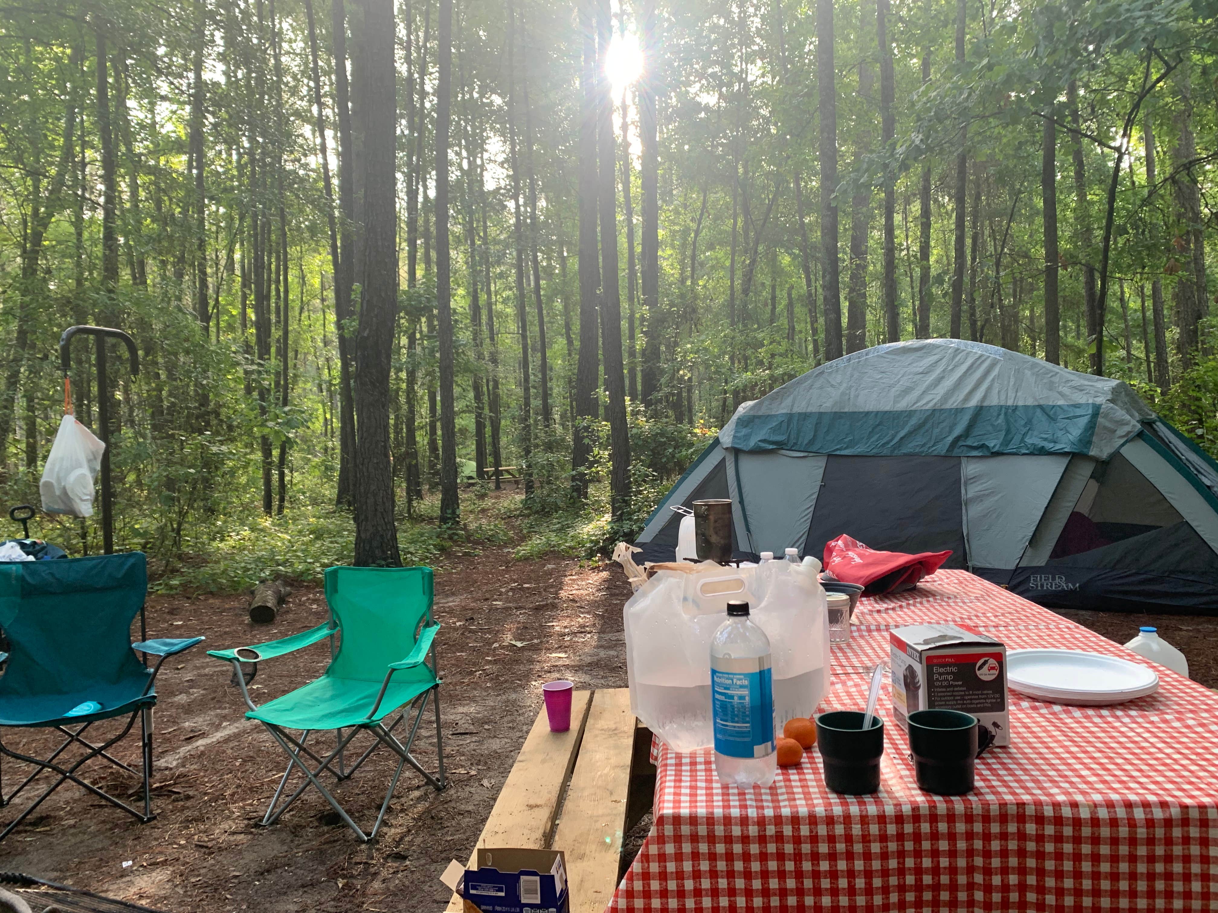 Ashley N.'s photo at Longleaf Campground — Congaree National Park near Lexington, SC