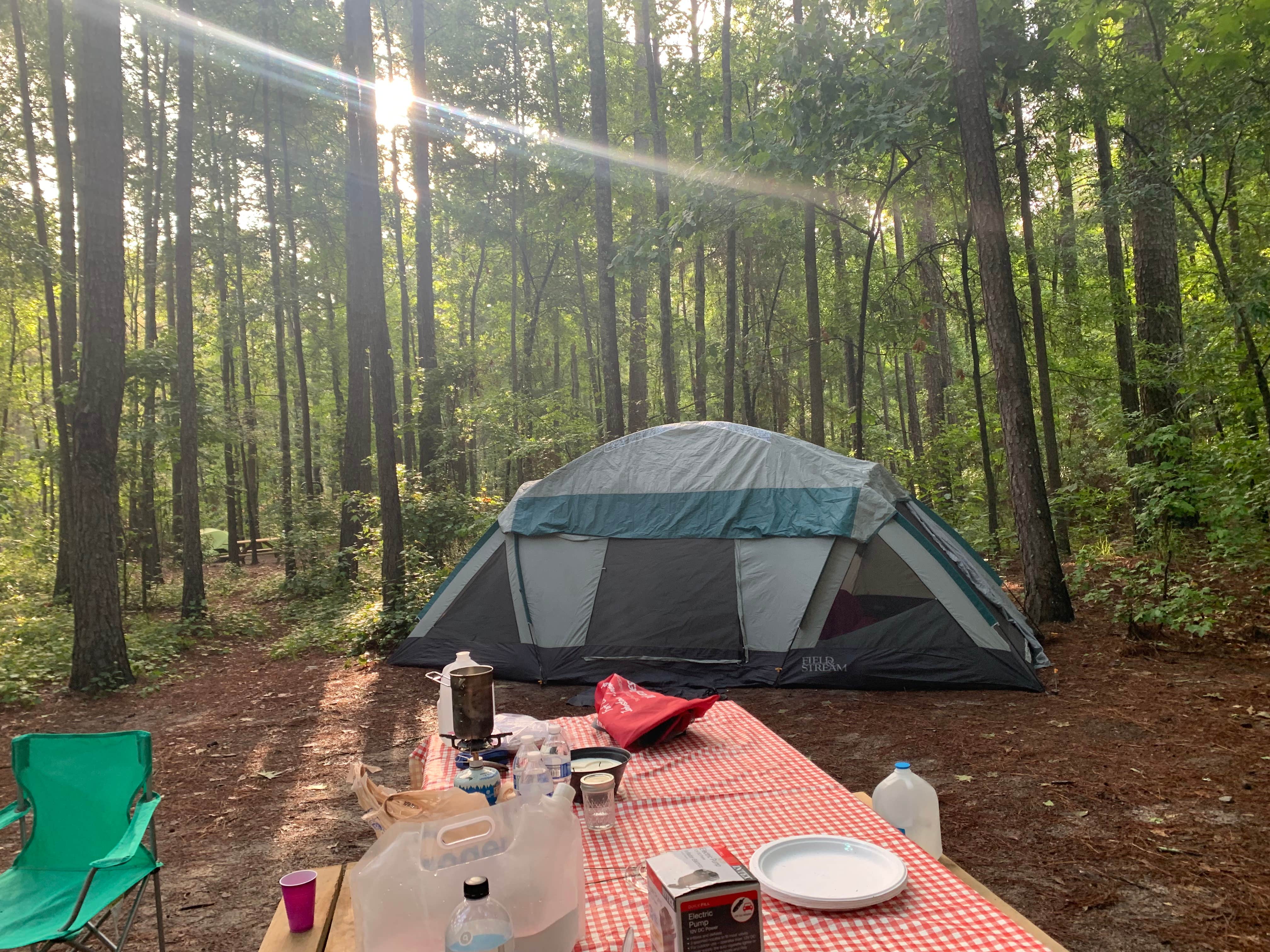 Ashley N.'s photo at Longleaf Campground — Congaree National Park near Sumter, SC