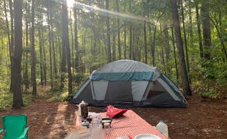 Ashley N.'s photo at Longleaf Campground — Congaree National Park near Blythewood, SC