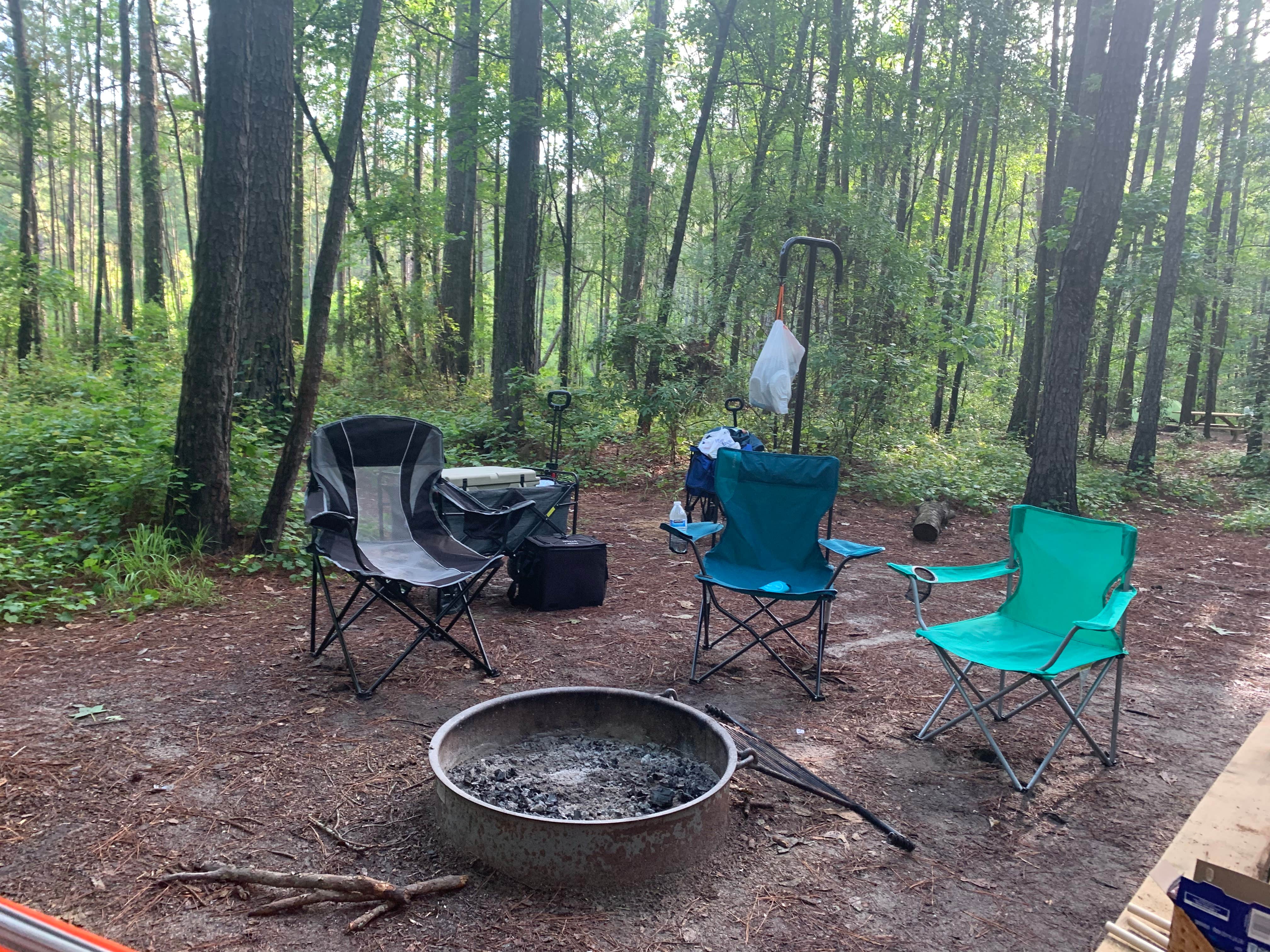 Ashley N.'s photo at Longleaf Campground — Congaree National Park near Horatio, SC