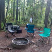 Review photo of Longleaf Campground — Congaree National Park by Ashley N., May 16, 2022