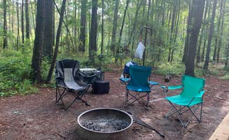 Ashley N.'s photo at Longleaf Campground — Congaree National Park near St. Matthews, SC