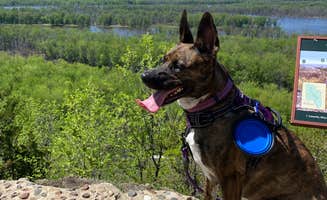 Jp M.'s photo of camping with pets at Nelson Dewey State Park Campground near Prairie du Chien, WI
