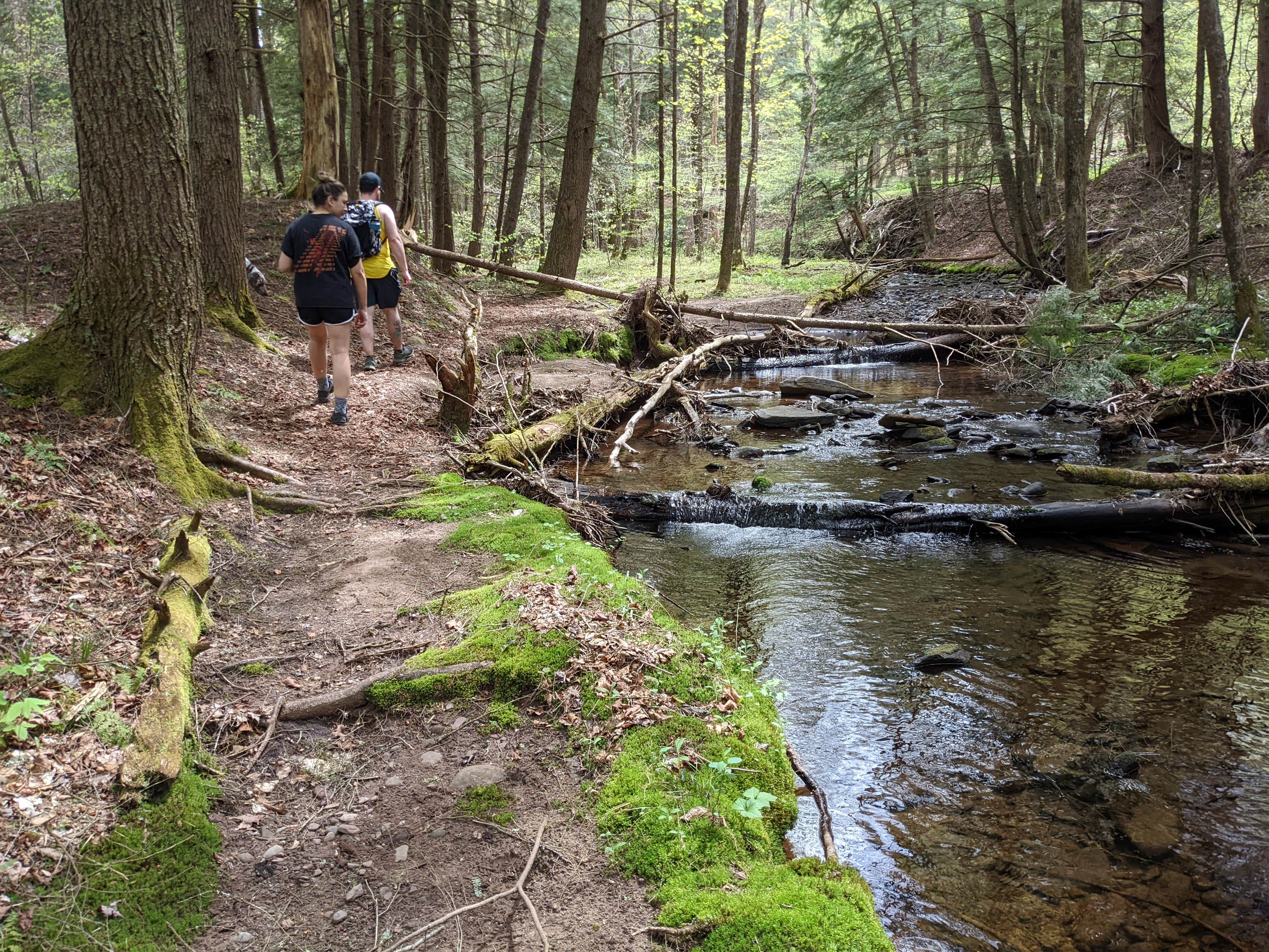 Camper-submitted photo at Covered Bridge Campsite near Parksville, NY