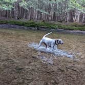 Review photo of Covered Bridge Campsite by Paul T., May 16, 2022