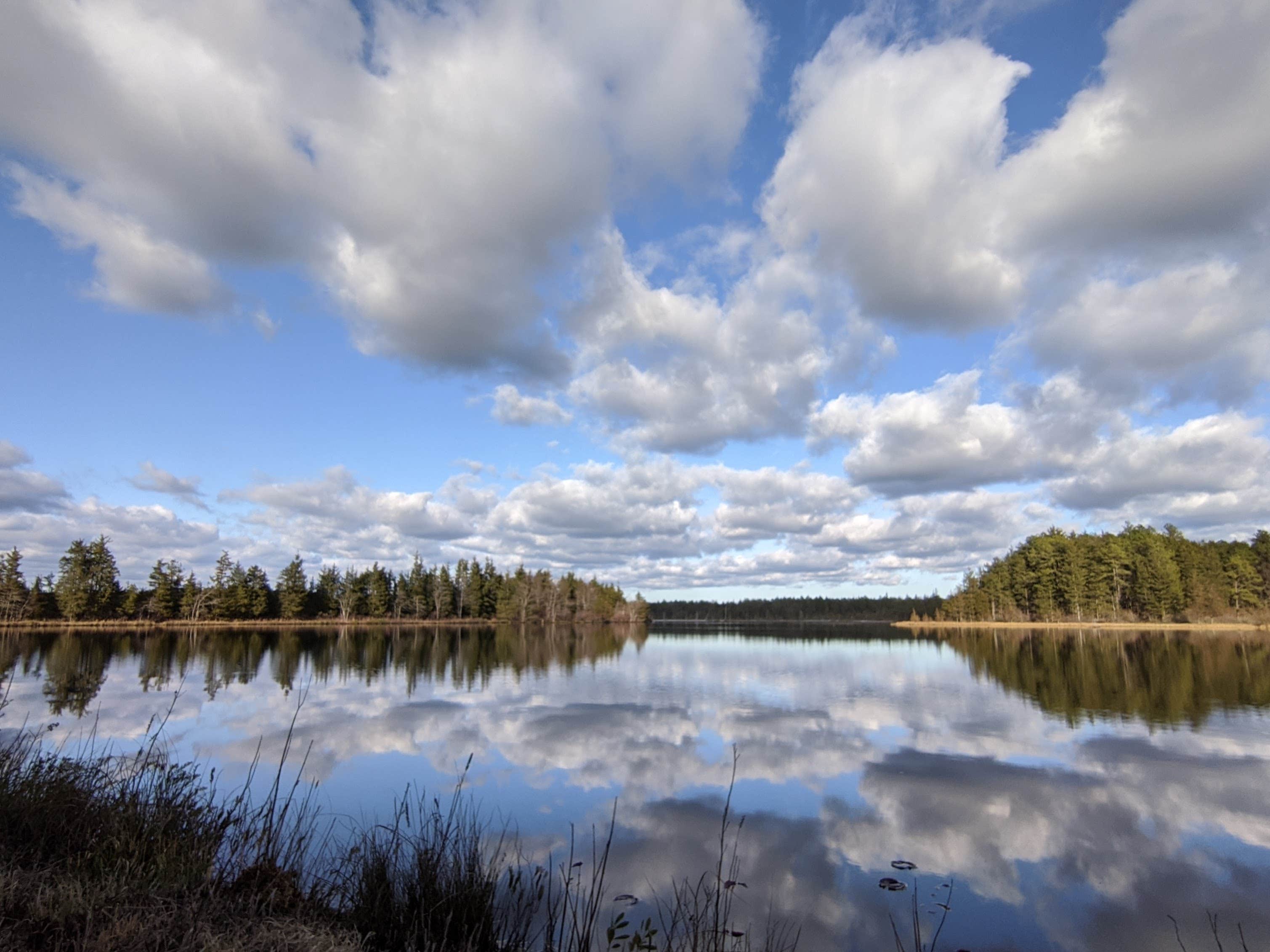 Brendan Byrne State Forest Camping | Woodland, NJ