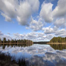 Brendan Byrne State Forest