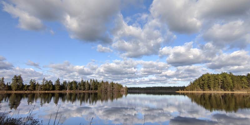 Camper submitted image from Brendan Byrne State Forest