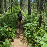 Review photo of Brendan Byrne State Forest by Paul T., May 16, 2022