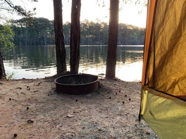 PCS S.'s photo at Hamilton Branch State Park Campground near Woodland, GA