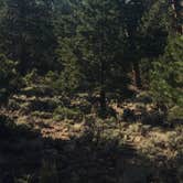Review photo of Lakeview Campground by Cory D., July 13, 2018