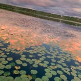 Review photo of Lake Louisa State Park Campground by Caleb H., May 16, 2022