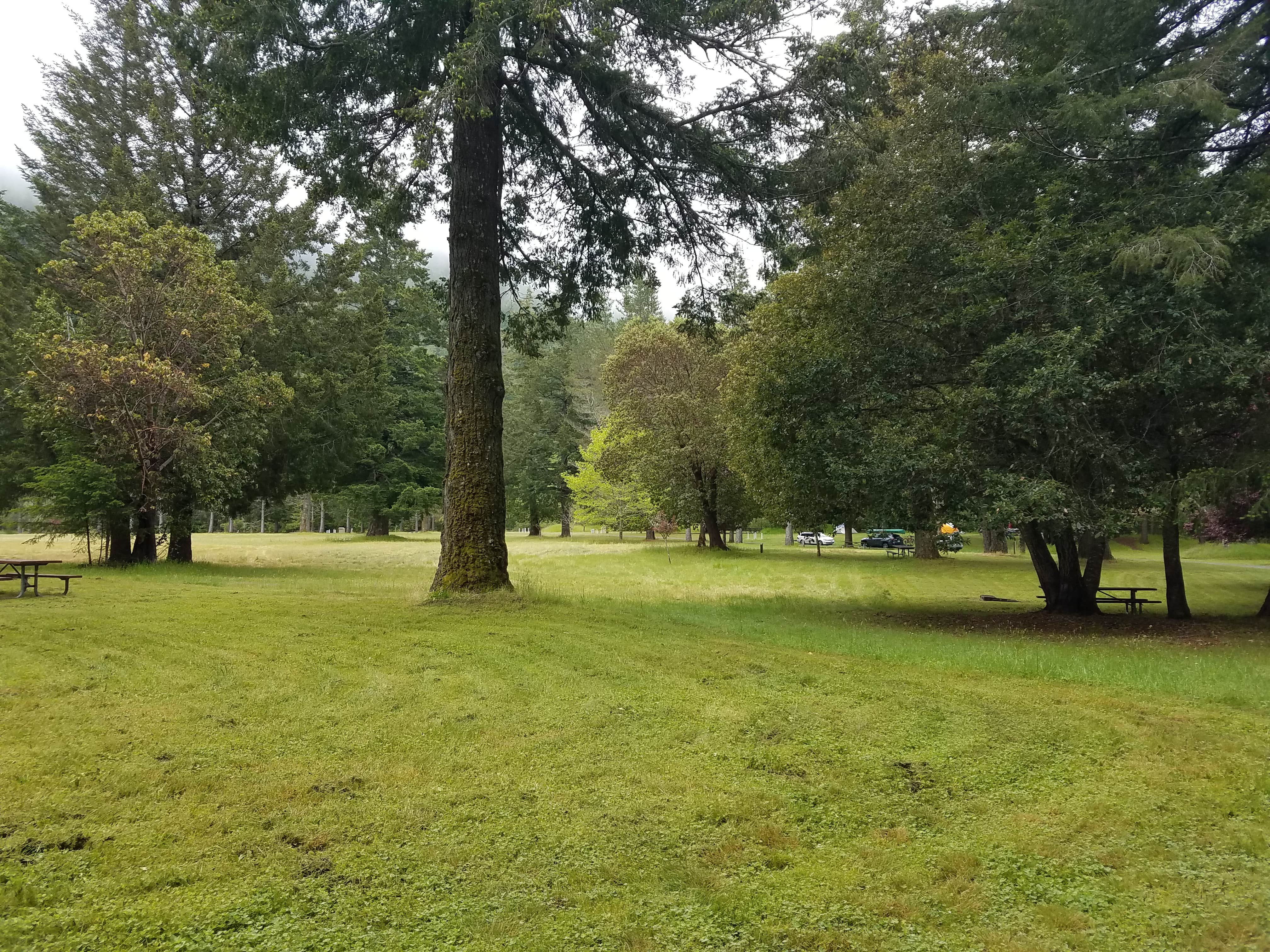 Camper-submitted photo at A.W. Way County Park near Ferndale, CA