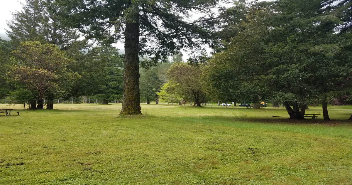 A.W. Way County Park Camping Petrolia, CA