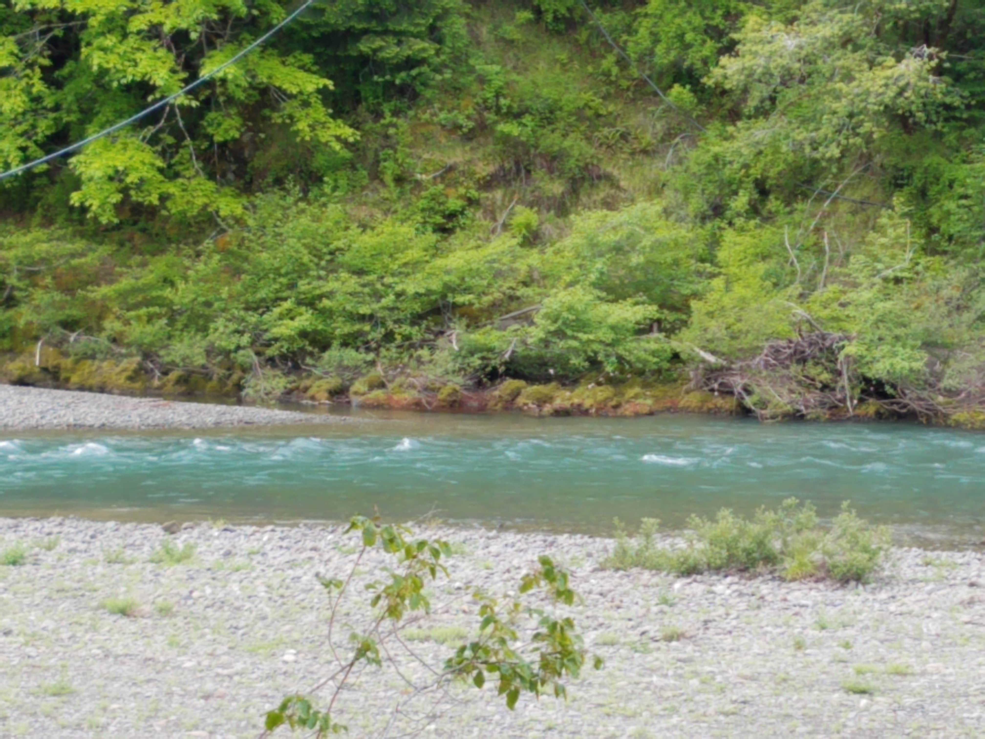 Camper-submitted photo at A.W. Way County Park near Ferndale, CA