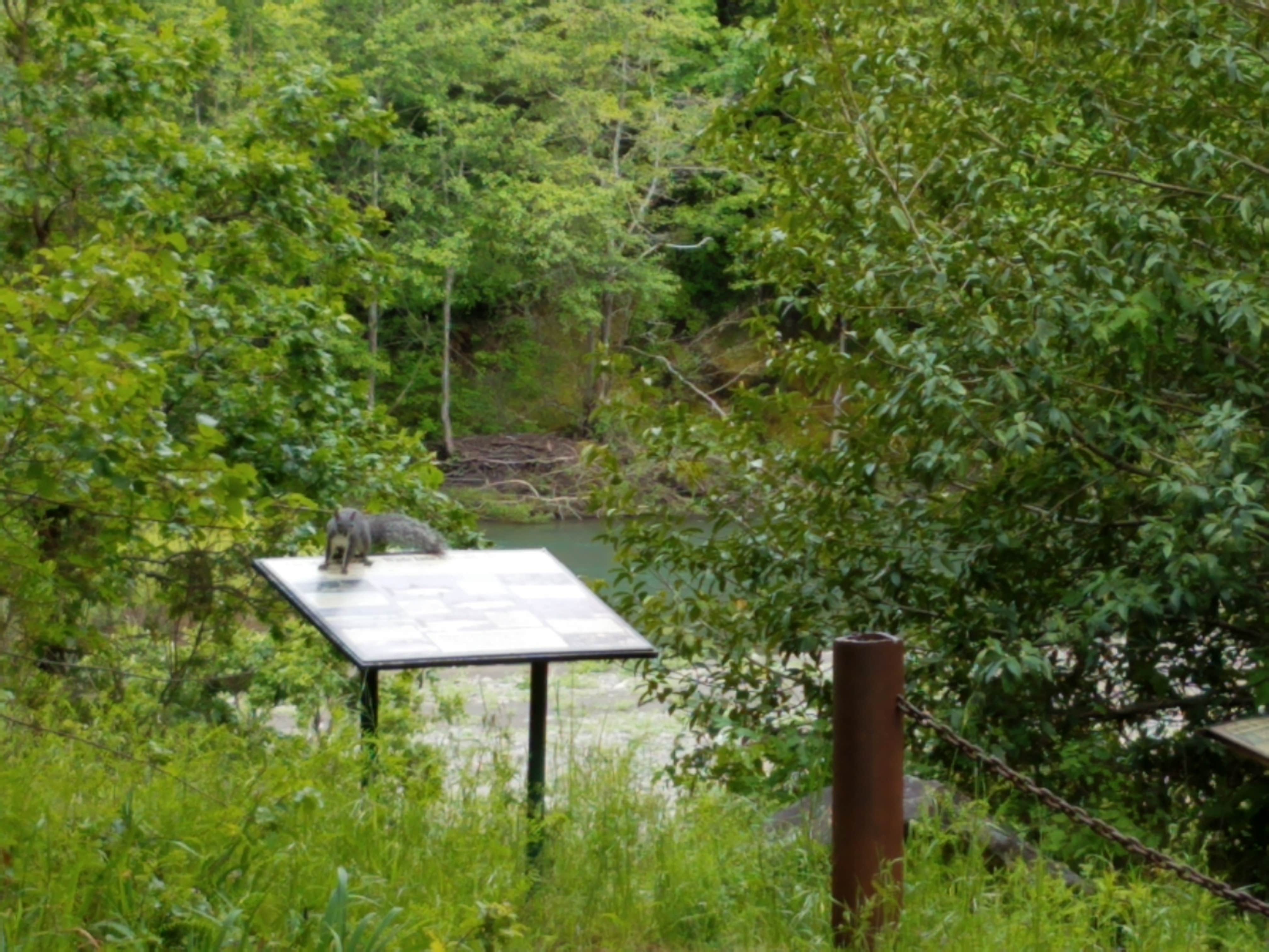 Camper-submitted photo at A.W. Way County Park near Ferndale, CA